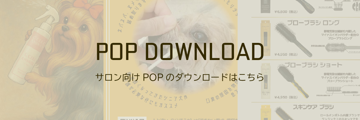 POPのダウンロードはこちら