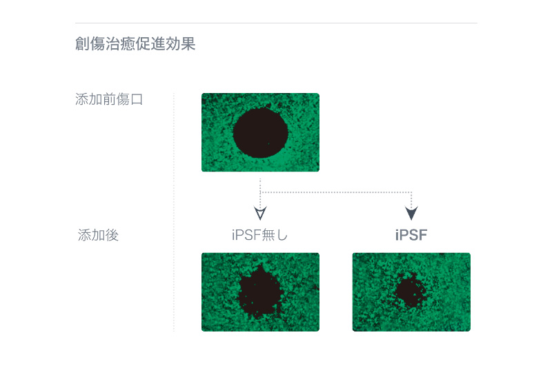 PETiPS（ペットアイピーエス）